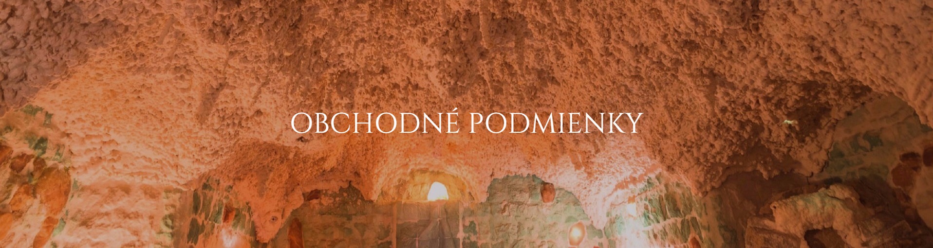 Obchodne podmienky