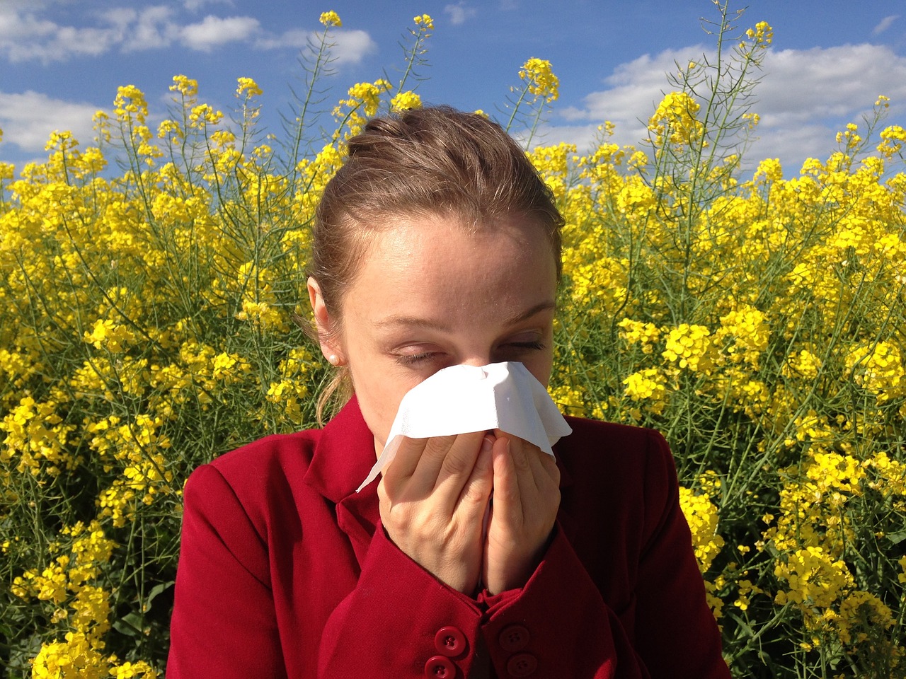 allergy 1738191_1280 1